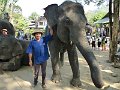 Chiang Mai P0094 Maetaman Elephant Camp